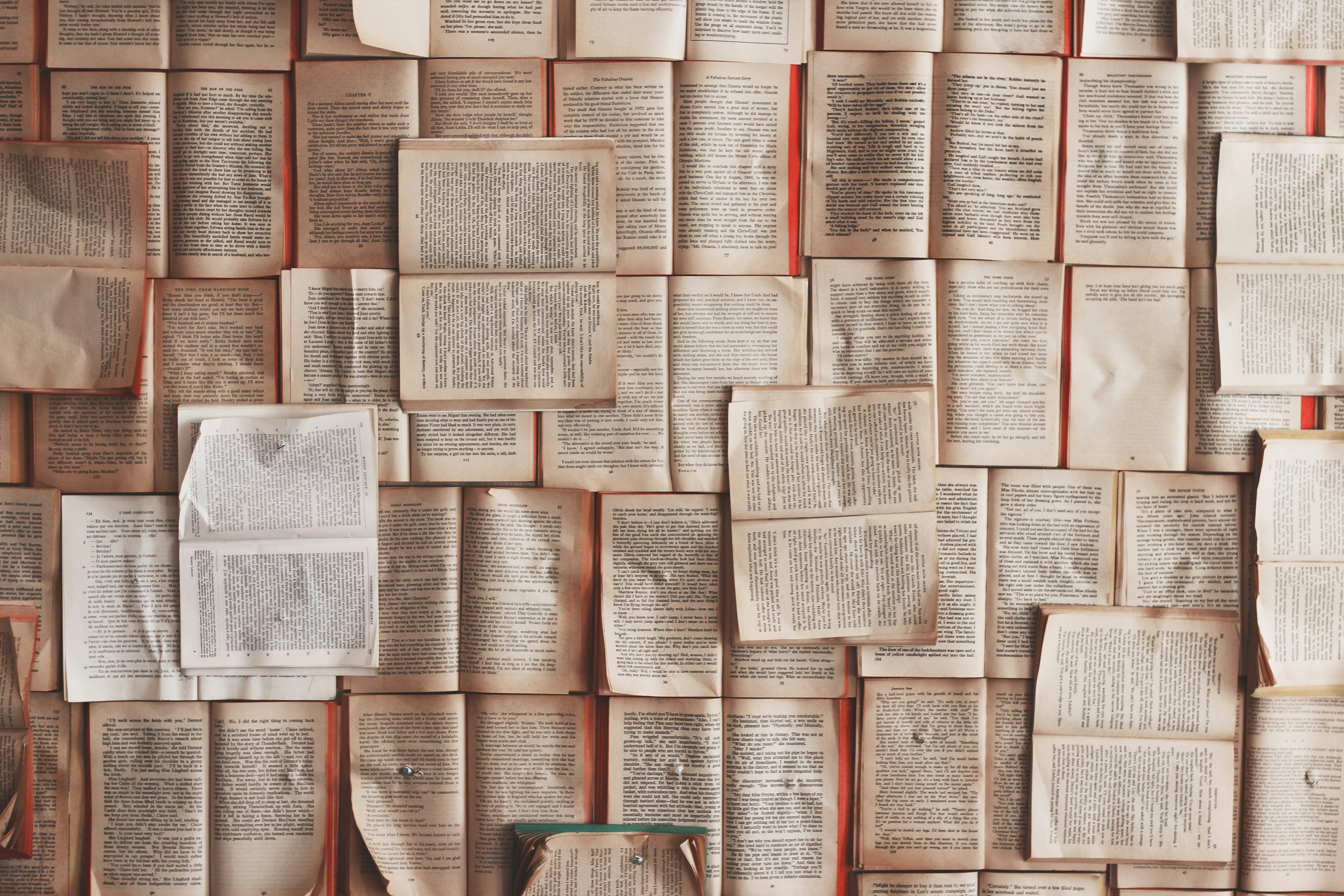 Indie bookstore