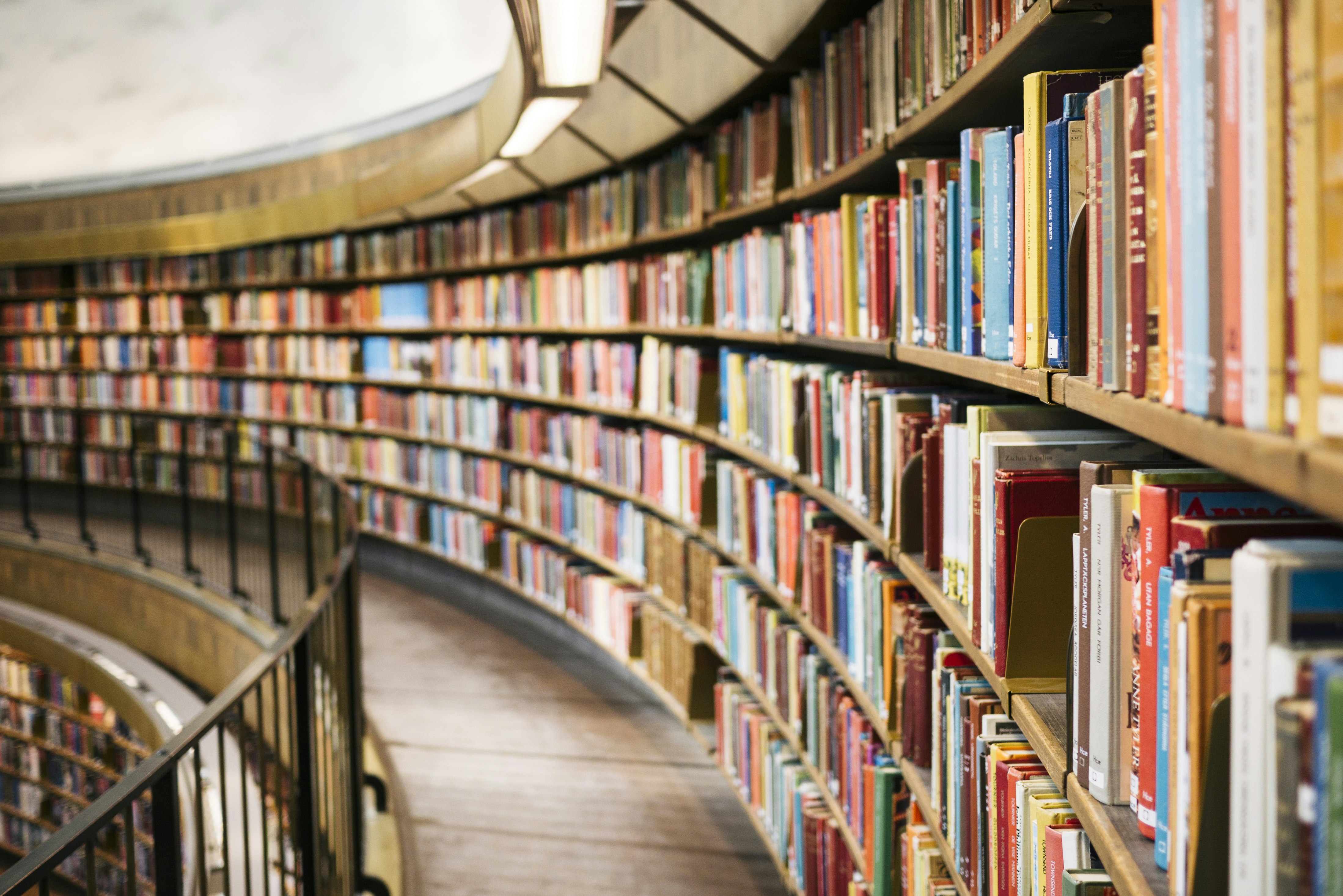 Person reading in library