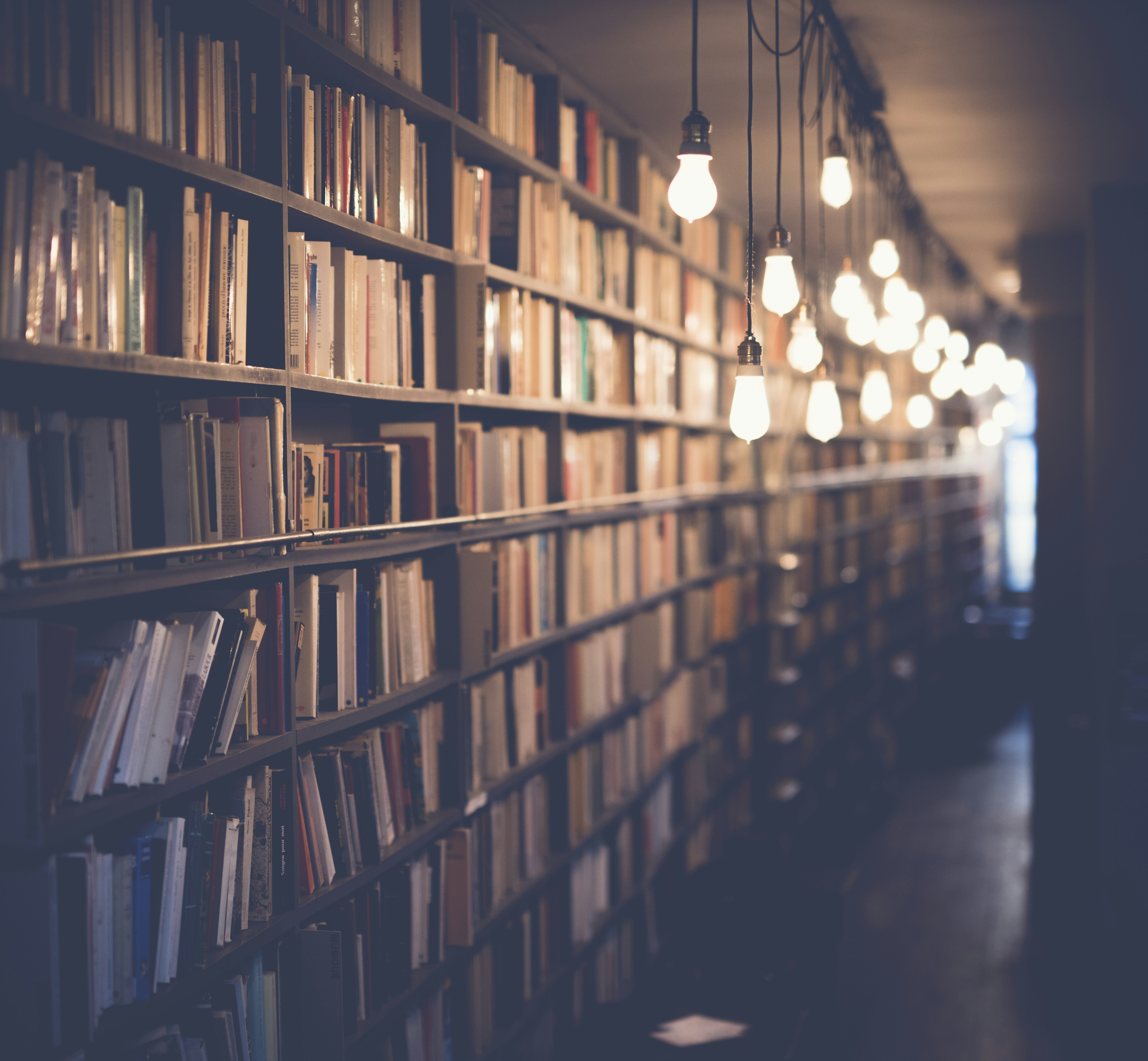 Cozy bookstore interior